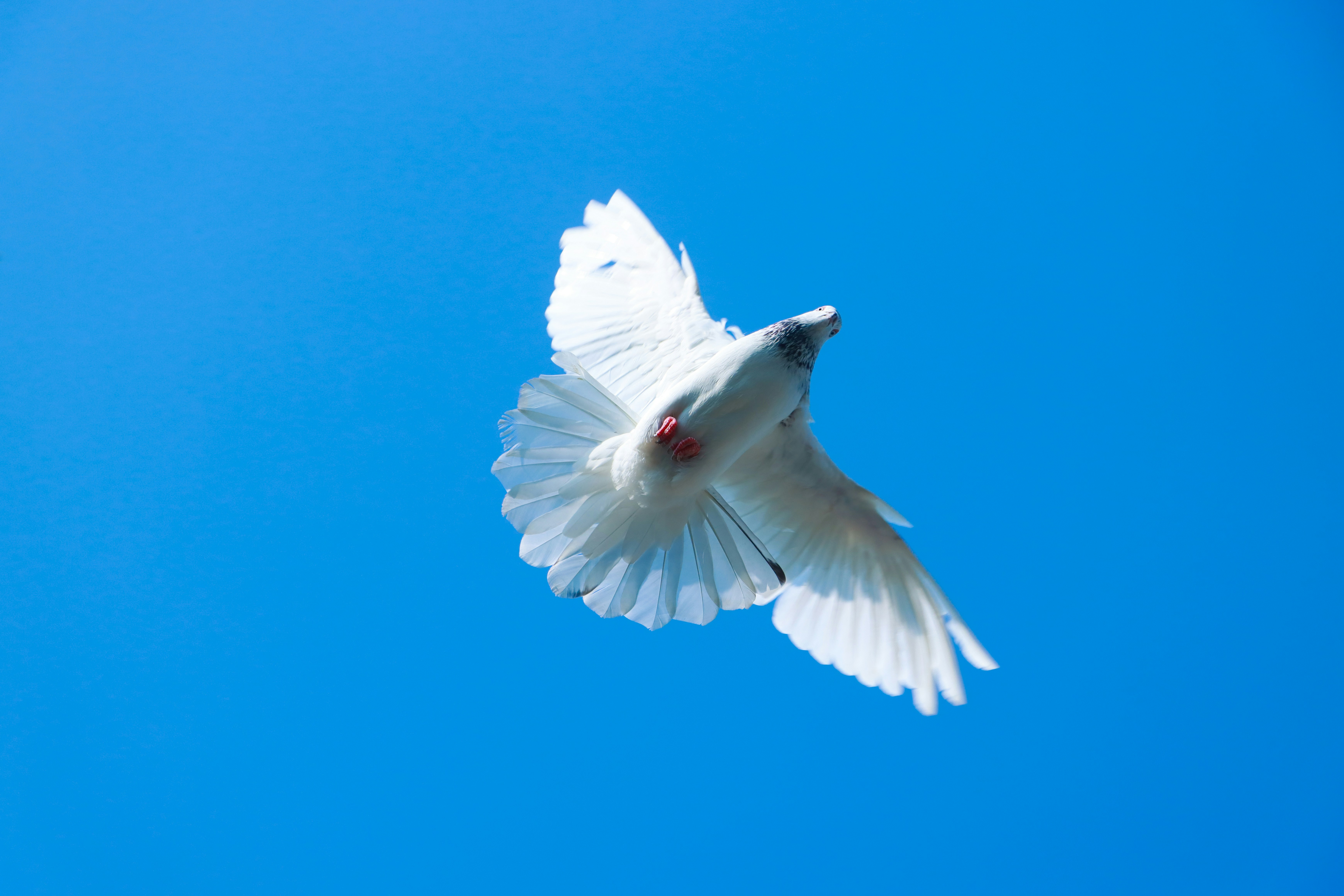 Holy Spirit communication through divine presence and guidance